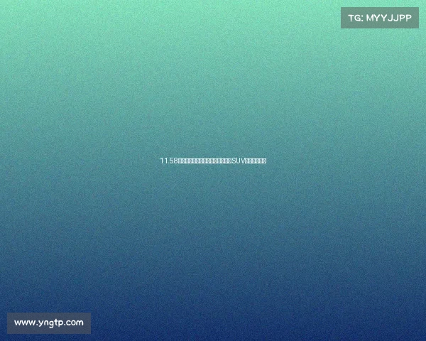 11.58万元起东风雪铁龙首款合资互联网SUV云逸正式预售